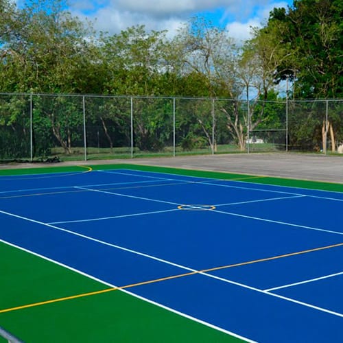 Netball Court
